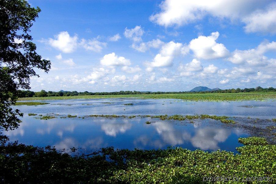 Uga Ulagalla - Anuradhapura Sigiriya Facilități foto